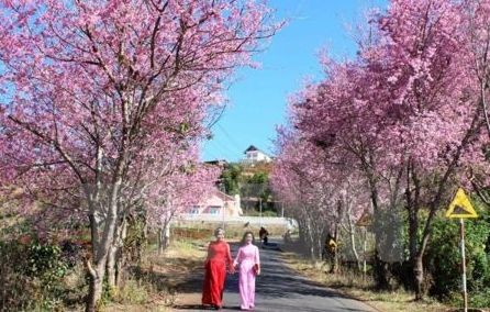 「日本フェスティバル・in・ベトナム」来る11月ホーチミン市で開催