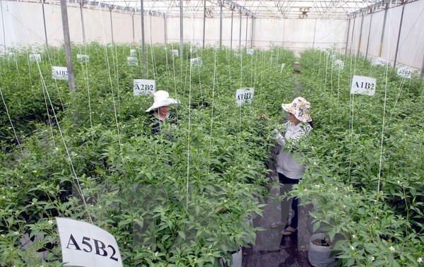 ベトナム・日本、農業に従事する企業フォーラムを開催