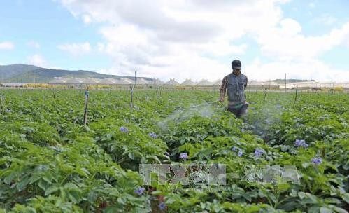 「農業分野における日本・ベトナム企業の連携」シンポジウム