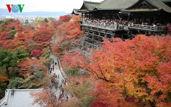 おしゃべりタイム(9月12日)