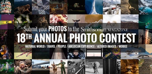 ハノイで観賞魚を売る男性にちなんだ写真、スミソニアン写真コンテストで最優秀賞に