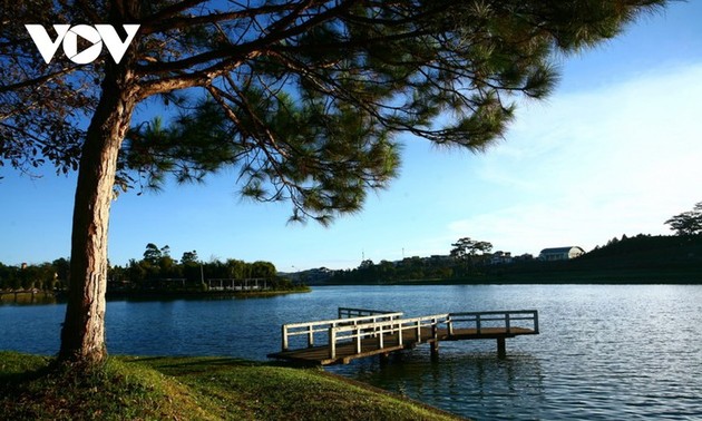 ダラット市の美しさ