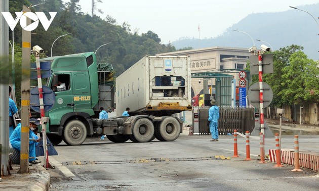 ランソン省 旬の果物の輸出を支援