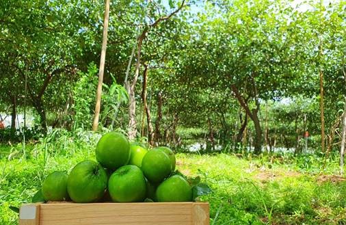 農業が持続的に発展する国家の建設