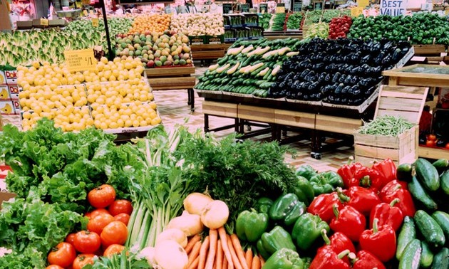 ベトナムにおける透明性がありかつ責任ある持続可能な食料システムの転換