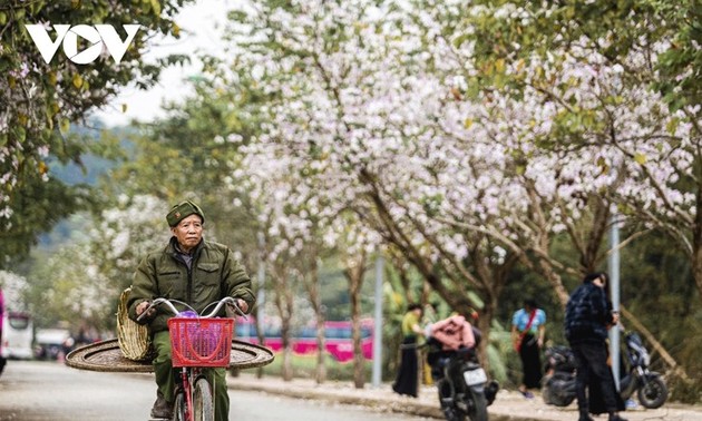 解放70年後のディエンビエンフー市の変化