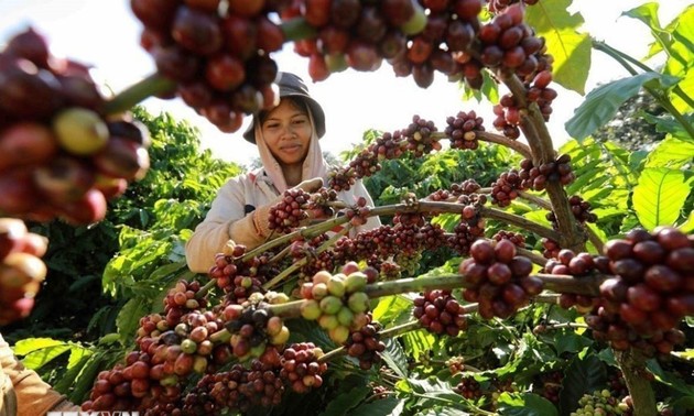 リスナーと共におしゃべりタイム （4月3日）