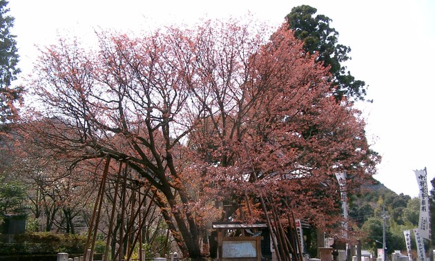 リスナーと共におしゃべりタイム （4月10日）