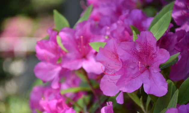 リスナーと共におしゃべりタイム （5月15日）