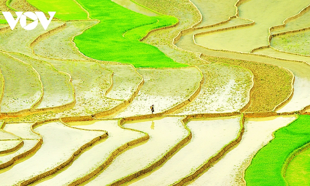 「水が棚田に張られる季節」に輝くムーカンチャイ県