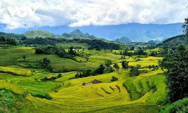 リスナーと共におしゃべりタイム （6月19日）