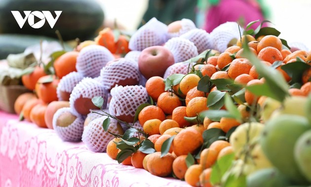 ソンラ省、経済成長を目指し、農業発展で突破口切り開く