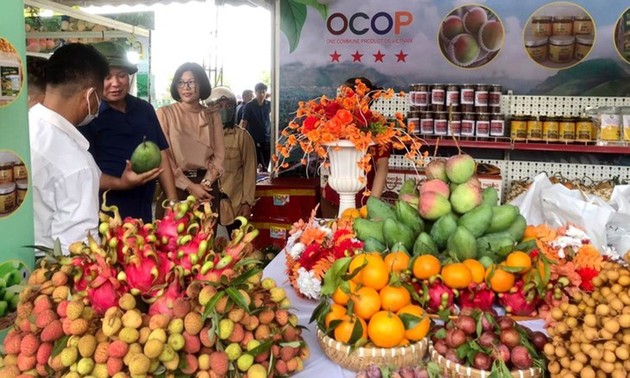 ソンラ省 OCOPプログラムで農産物の価値を高め、農村経済の飛躍を目指す 