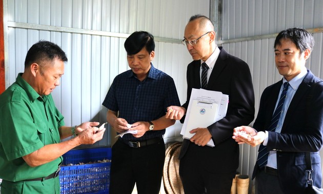 JICA、ゲアン省ナゴイ村で讃岐ニンニク支援 還流人材が技術移転