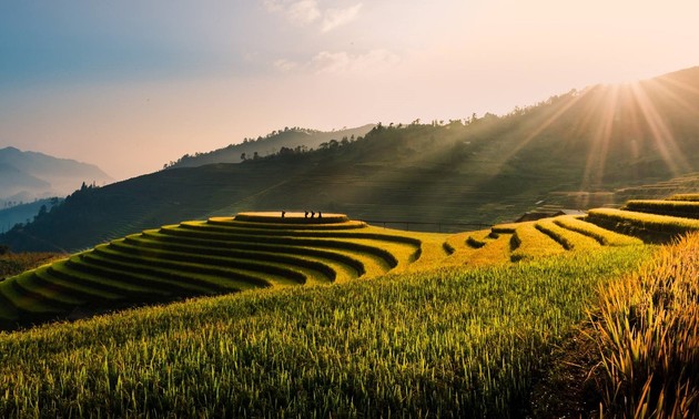ベトナム国土への愛にちなんだ曲