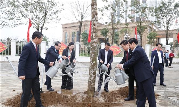 ベトナム各地で「植樹祭」活発に実施