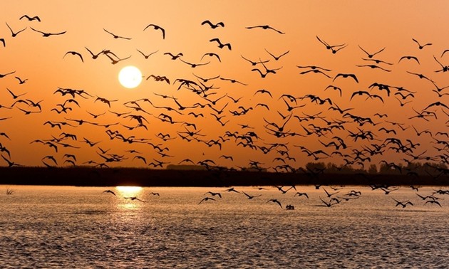 春にちなんだ名曲