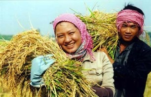 Triwulan pertama tahun 2012, cabang pertanian mencapai pertumbuhan lumayan