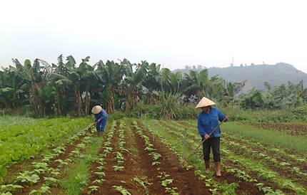 Perancangan tentang pembangunan pedesaan baru