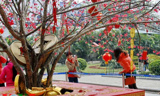 河内——新年期间趣味无穷的旅游景点