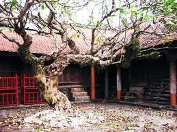 探索和体验茶古亭建筑之美