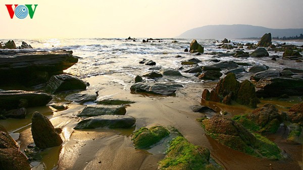 横山海滩