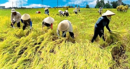 朝着提高附加值方向重组农业结构