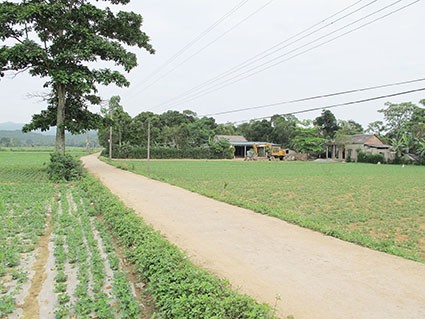 广治省居民齐心建设新农村