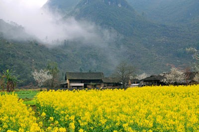 加强西北地区旅游联动促进经济发展