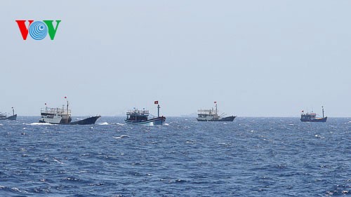 海外越南人对越南政府在东海问题上的正确对策充满信心