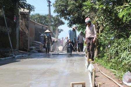 太平省瑞宁建设农村经济模式