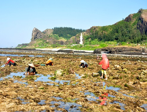 李山——又是一年浅水季