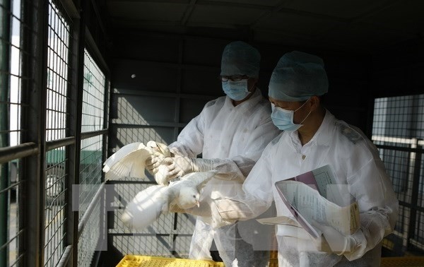 中国确诊2015年首例H7N9禽流感病例