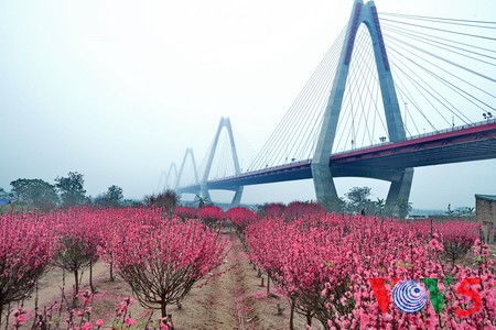 从古村看新桥：革新与文明的桥梁