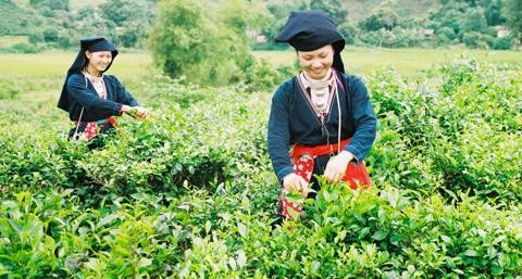 重点投资发展山区和少数民族地区社会经济