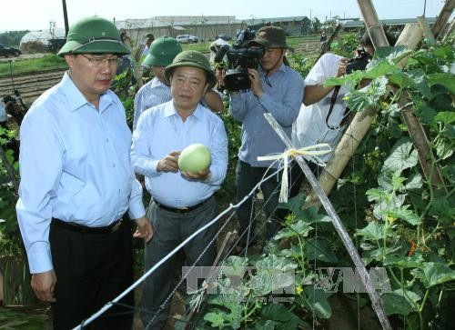 越南祖国阵线中央委员会主席阮善仁视察河静省