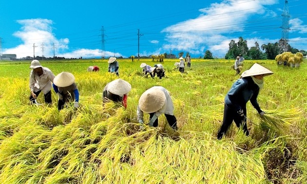 太平省举行响应2015年世界清洁地球日集会