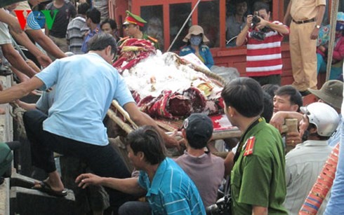 越南渔业协会强烈谴责越南渔民遭枪击死亡事件