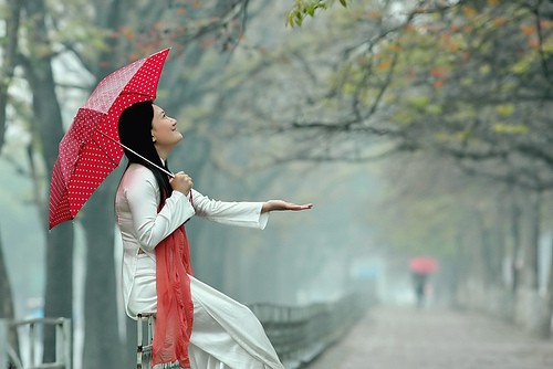 一组以春雨为主题的歌曲