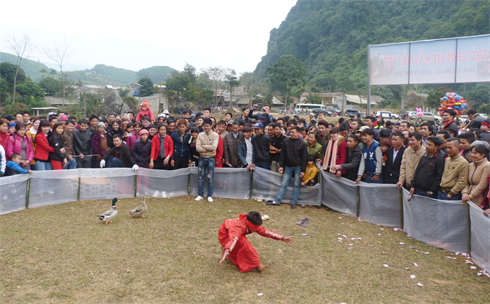 宣光省举行2016年仙洞国家名胜盛会和农村集市