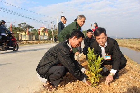 越南全国各地举行植树节