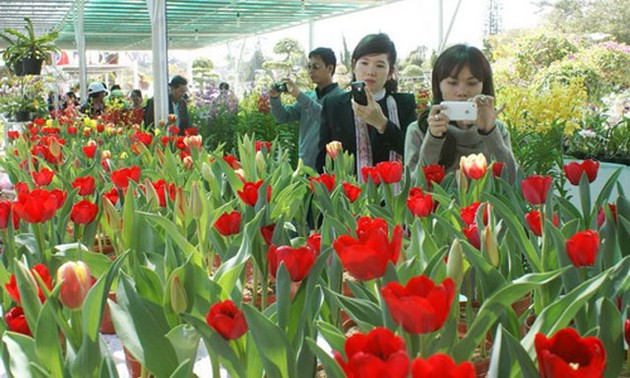 日本公司计划在越南大叻投资种植出口鲜花