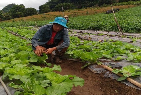 点燃少数民族青年的创业之火