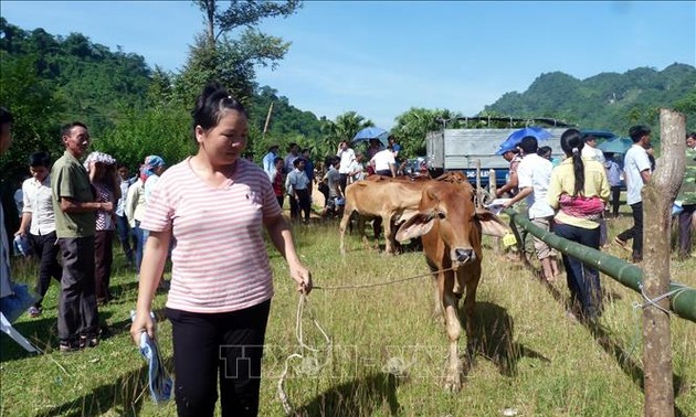 越南多维贫困报告：各地区和民族之间的贫困率差距较大