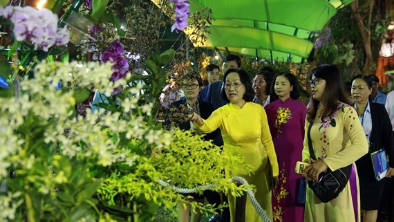 2019年己亥春节花卉节开幕