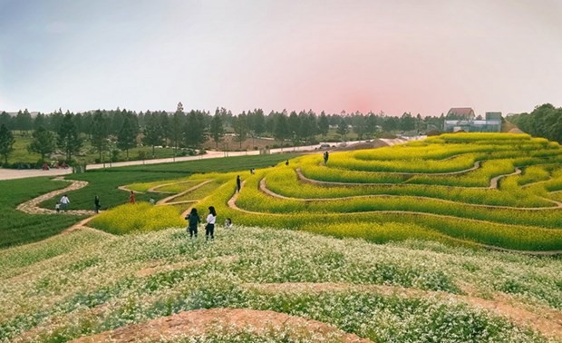 河内再有两处市级旅游景点