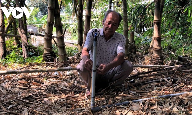 在咸水区成功种植竹笋的老农