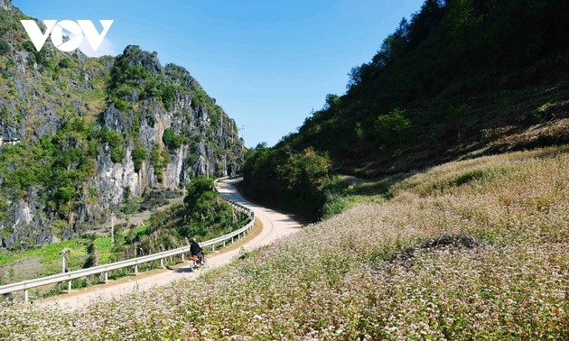 “安全旅游、全面体验”的国内旅游计划正式启动