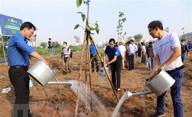 胡志明市启动城市植树活动 实施“百万棵树——绿色越南”计划