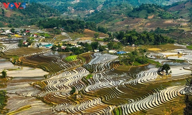 炫丽多彩的伊子风景